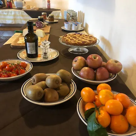 Farm stay Oliviera Winery *
