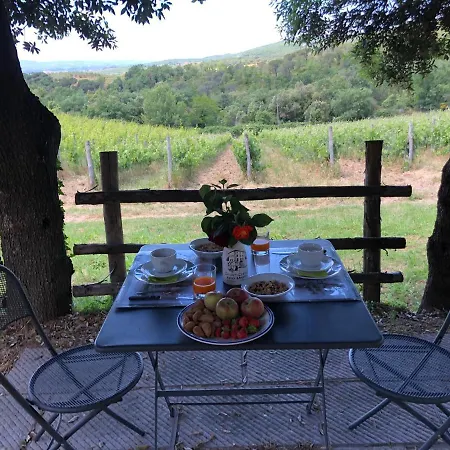 Oliviera Winery * Vagliagli