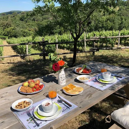 Oliviera Winery Farm stay *