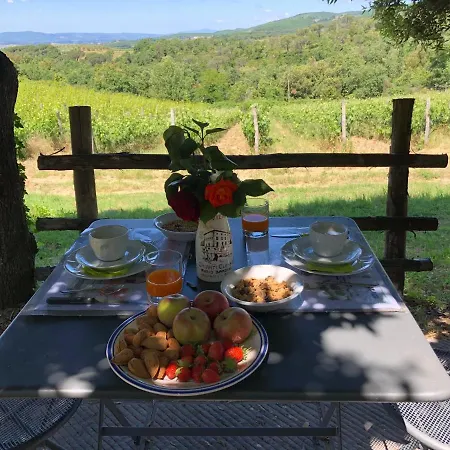 Oliviera Winery Vagliagli