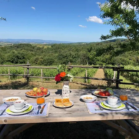Oliviera Winery Farm stay Vagliagli