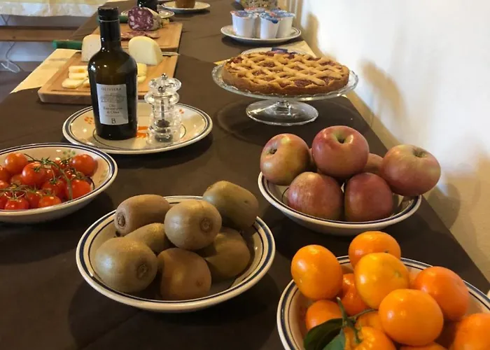 Alloggio per agriturismo Oliviera Winery *